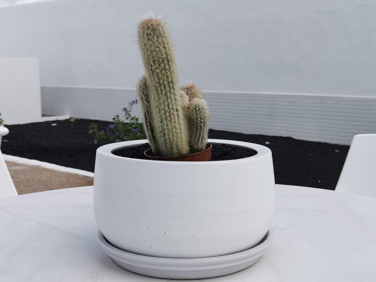Anjomacar I Apartamento *
